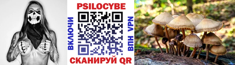 Купить где  Чернушка  Псилоцибиновые грибы GOLDEN TEACHER 